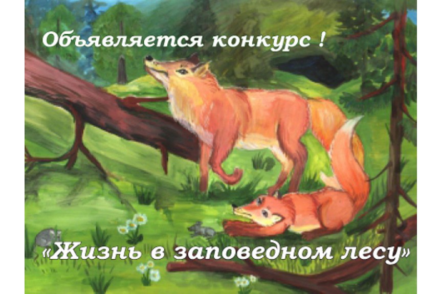Национальный парк «Смоленское Поозерье» объявляет детский художественный конкурс.