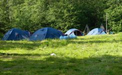 Разрешения на посещение: промежуточные итоги года