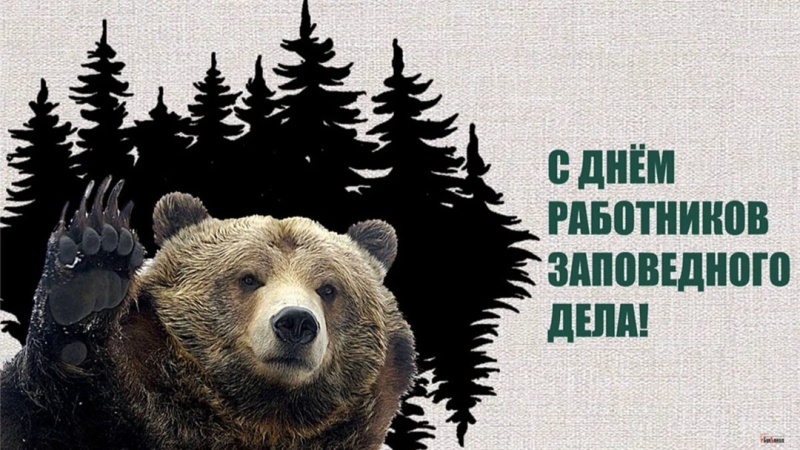 С Днём заповедного дела, наше «Смоленское Поозерье»