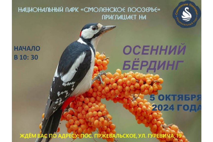 И снова осень, а это значит, что пришло время считать и фотографировать птиц.