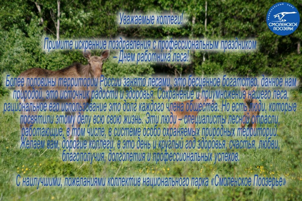 С Днем работника леса!