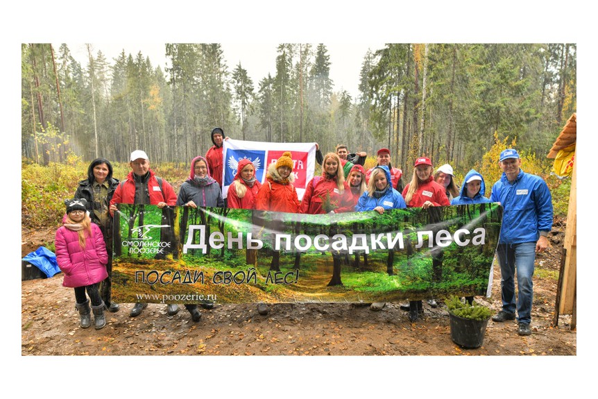 Посади свой лес!