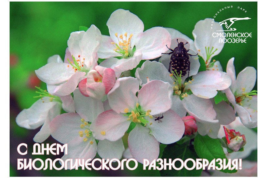 Сегодня – Международный день биологического разнообразия.