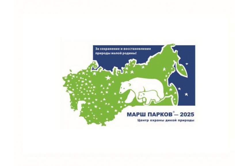 Стартовала международная акция «Марш парков - 2025»: вместе восстанавливаем природные экосистемы и участвуем в конкурсе!