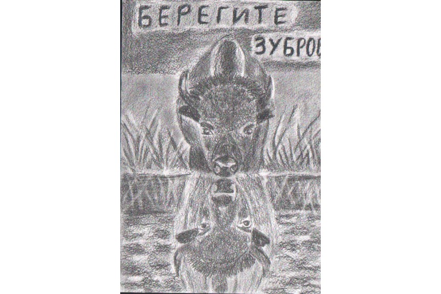 Подведены итоги областного детского художественного конкурса рисунков «Хранители лесов: зубры Смоленского Поозерья»