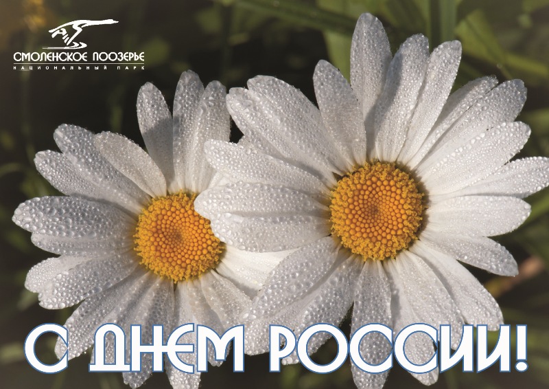 С Днем России!