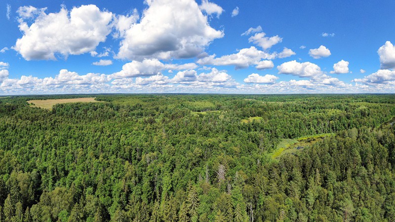Велопрогулки