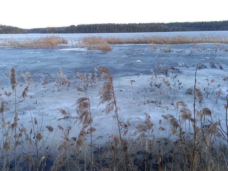 На льду появилась вода, оз. Сапшо.