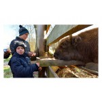 Дети Демидовской школы-интерната в гостях у зубров