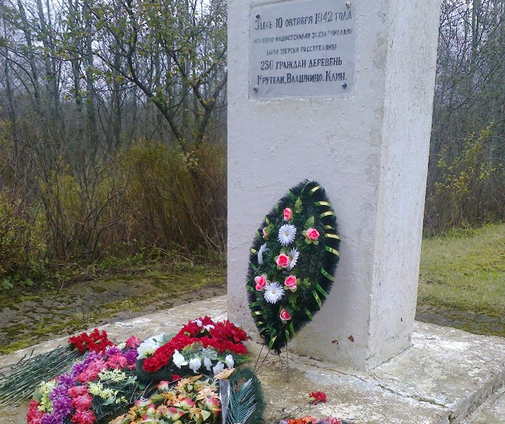 Митинг в д. Крутели