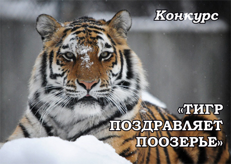 Дед Мороз уже в пути, а значит Новый год не за горами!