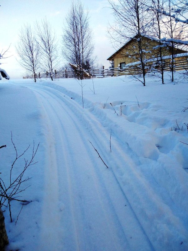 Приглашаем всех любителей лыжных прогулок в Поозерье!