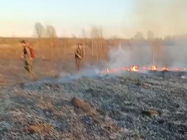 Тушение пожара в ур. Зальнево, госинспекторами отдела охраны находящимися в д. Городище и д. Корево.