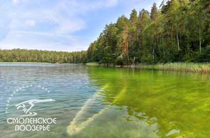 Июнь. Фото Г. Дубино
