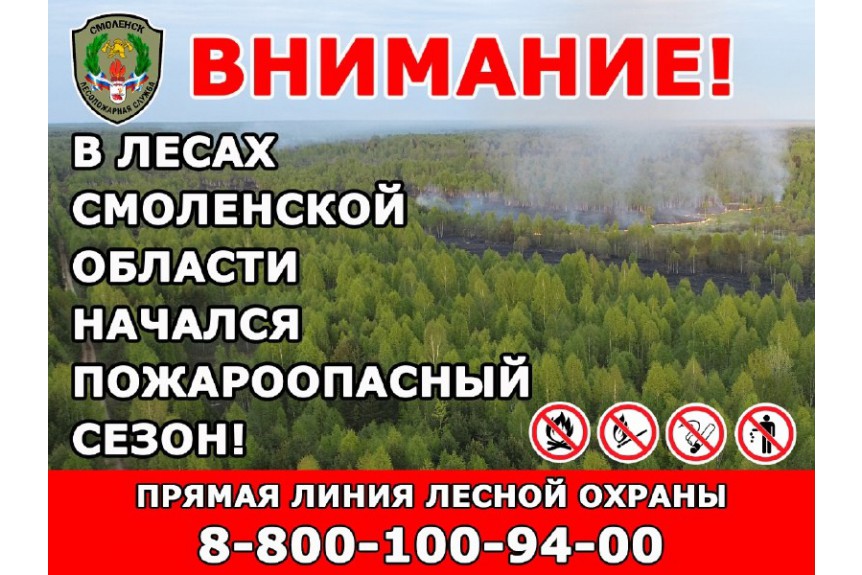 В лесах Смоленской области начался пожароопасный сезон.