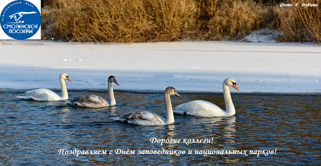 Дорогие коллеги! Поздравляем с Днем заповедников и национальных парков!